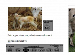 B-ch laitier EVré. CR